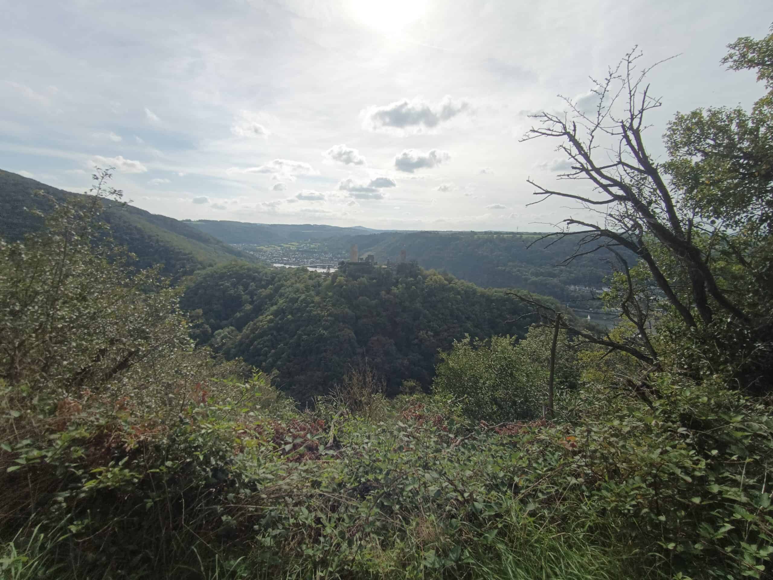 Mosel-Camino – Der Jakobsweg entlang der Mosel 7 Aufnahme vom Mosel-Camino während einer Pilgeretappe im September 2023.