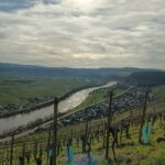 Bilder des Mosel Caminos