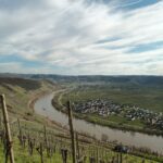 Bilder des Mosel Caminos