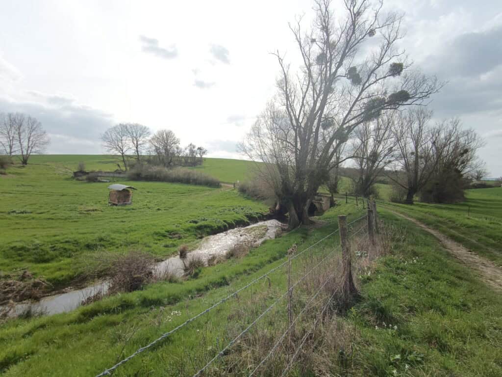 IMG 20240321 143157 043