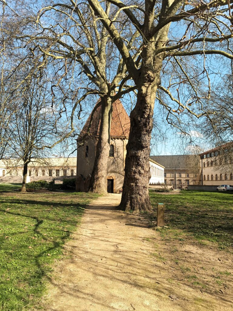 Blick auf den Weg zur Templerkapelle (Chapelle des Templiers) in Metz, flankiert von alten Bäumen.