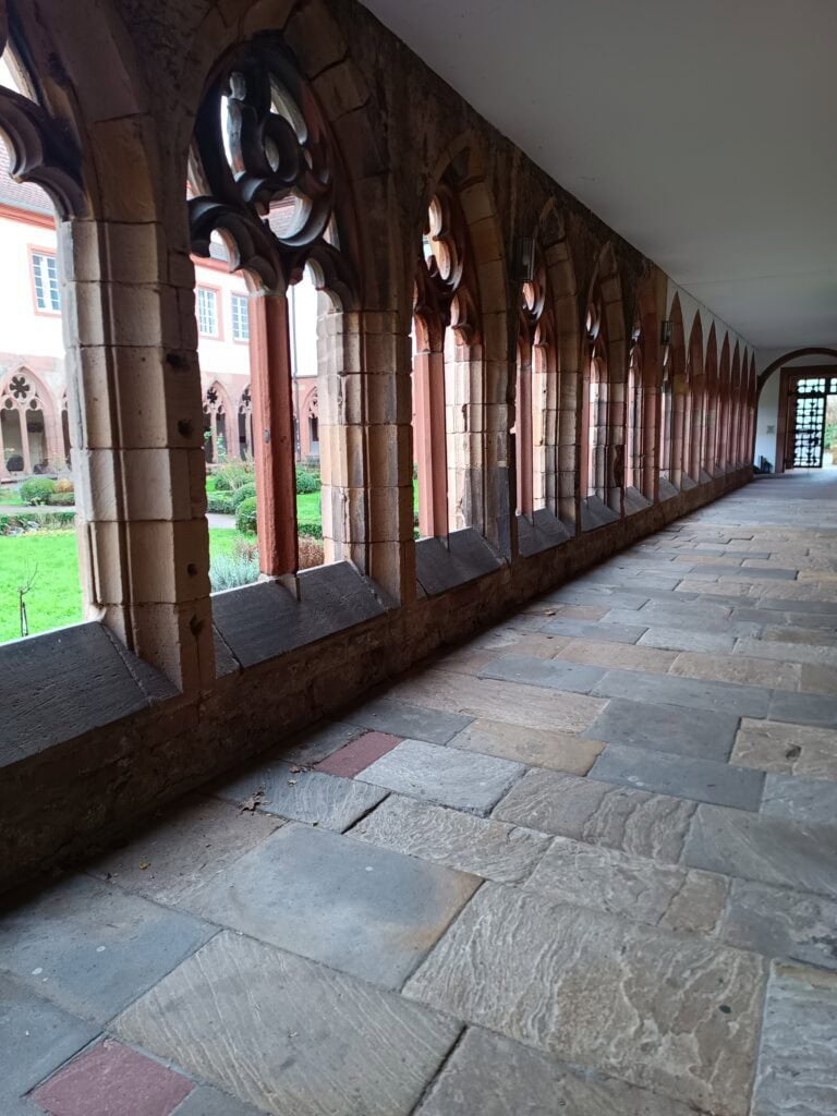 IMG 20241224 094434 484