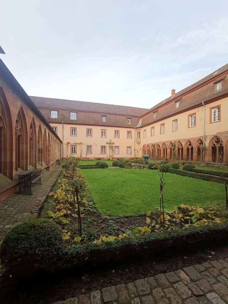 IMG 20241224 094600 785