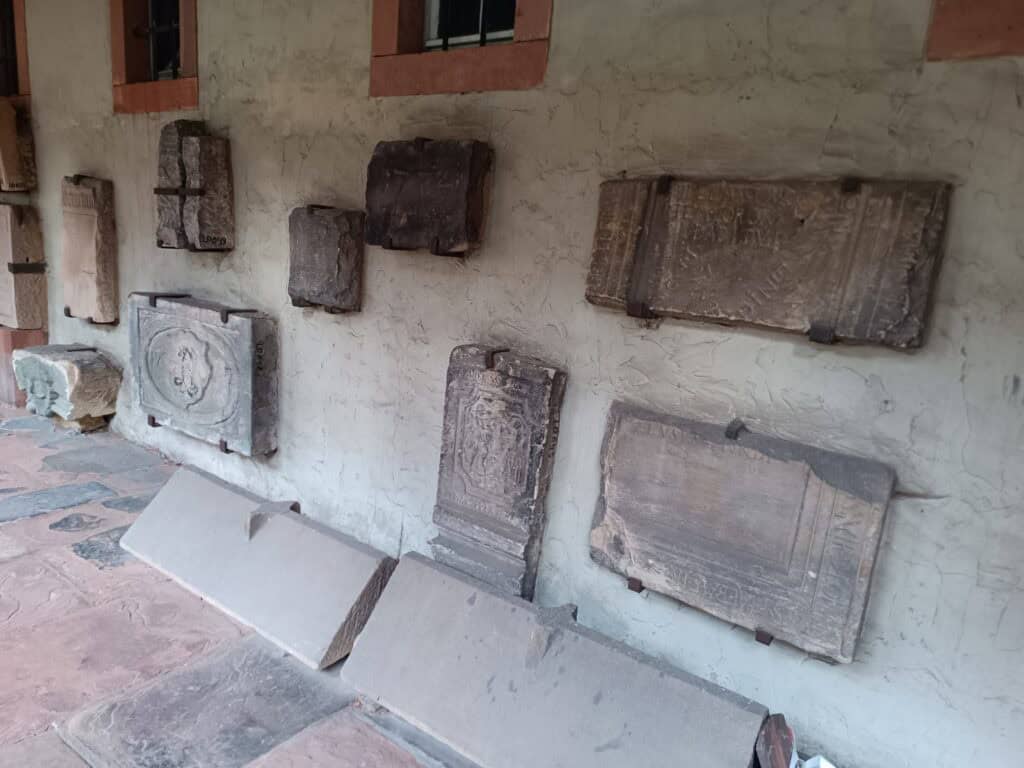 IMG 20241224 094733 384