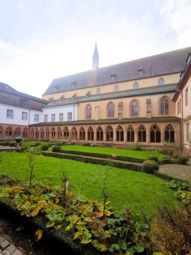 IMG 20241224 094901 908