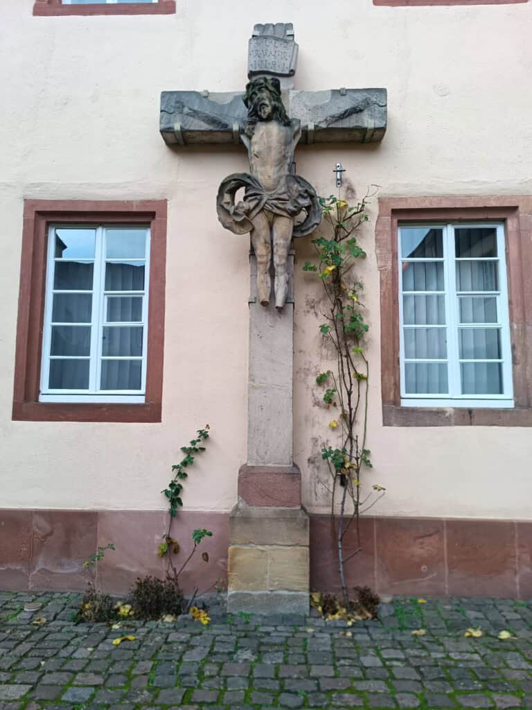 IMG 20241224 095701 613