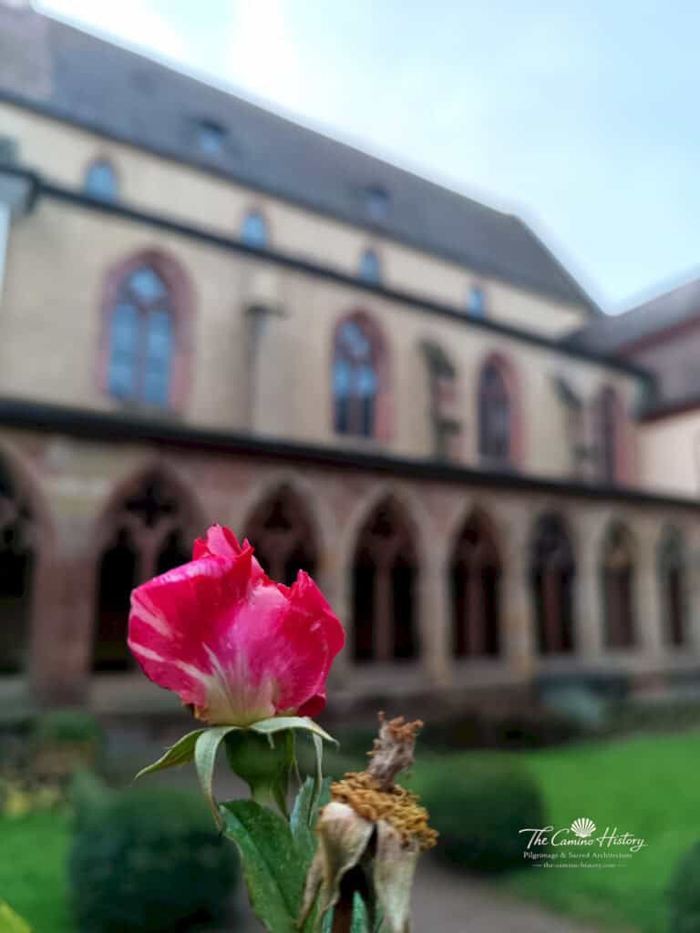 IMG 20241224 095752 723 Wasserzeichen