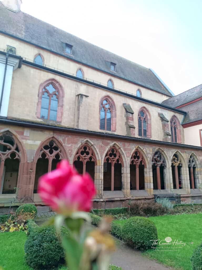 IMG 20241224 095756 134 Wasserzeichen