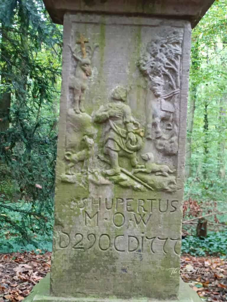 IMG 20241014 132437 421 Wasserzeichen