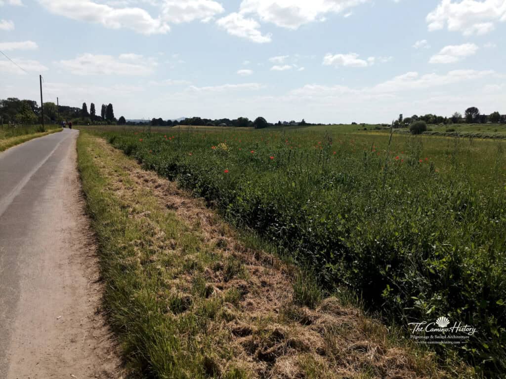 IMG 20230518 120805 Wasserzeichen
