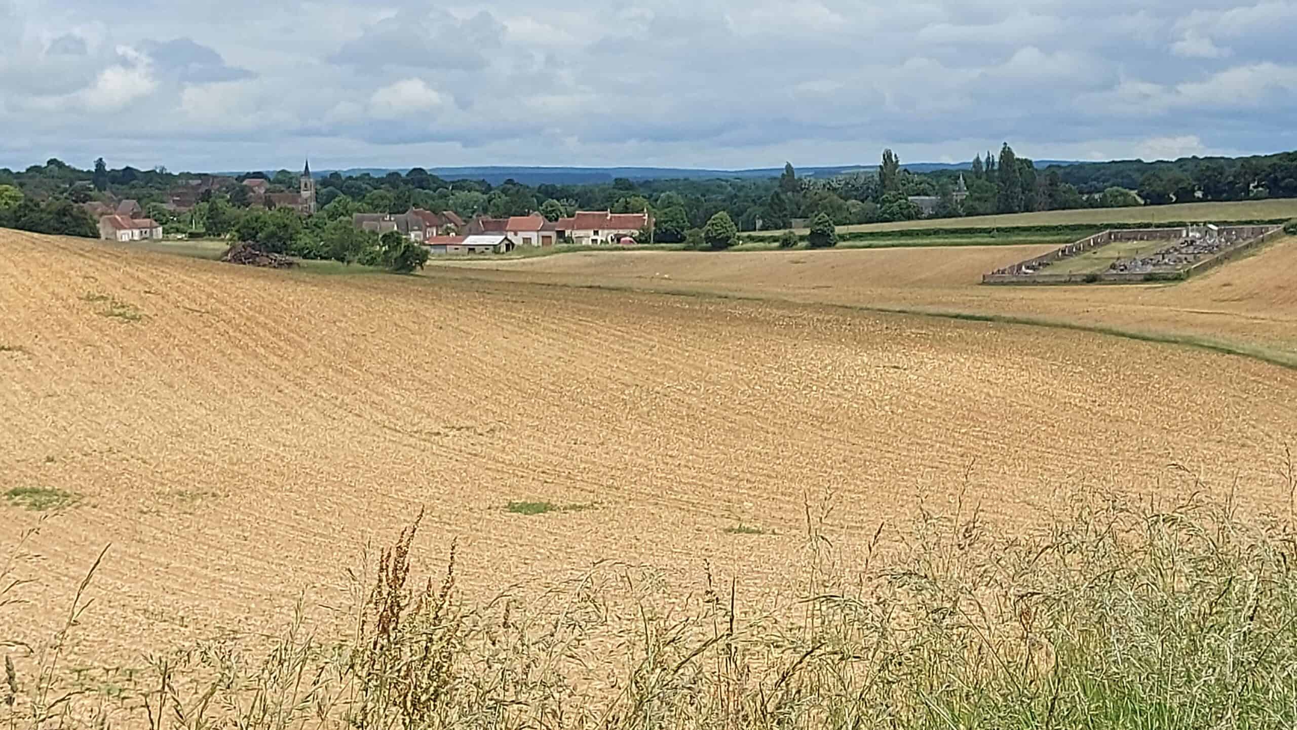 Dorf und Friedhof hinter weiten Getreidefeldern