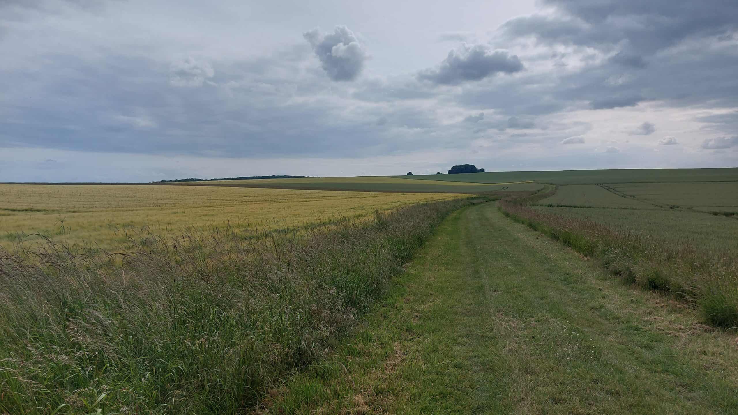 Weg durch ein weites, offenes Feld