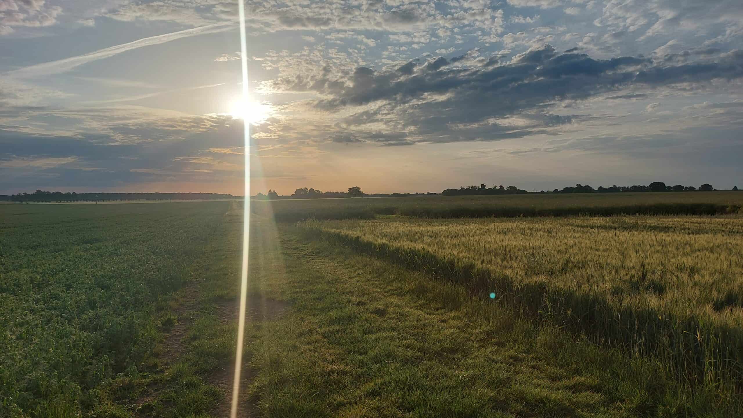 Morgensonne über einem weiten Feldweg