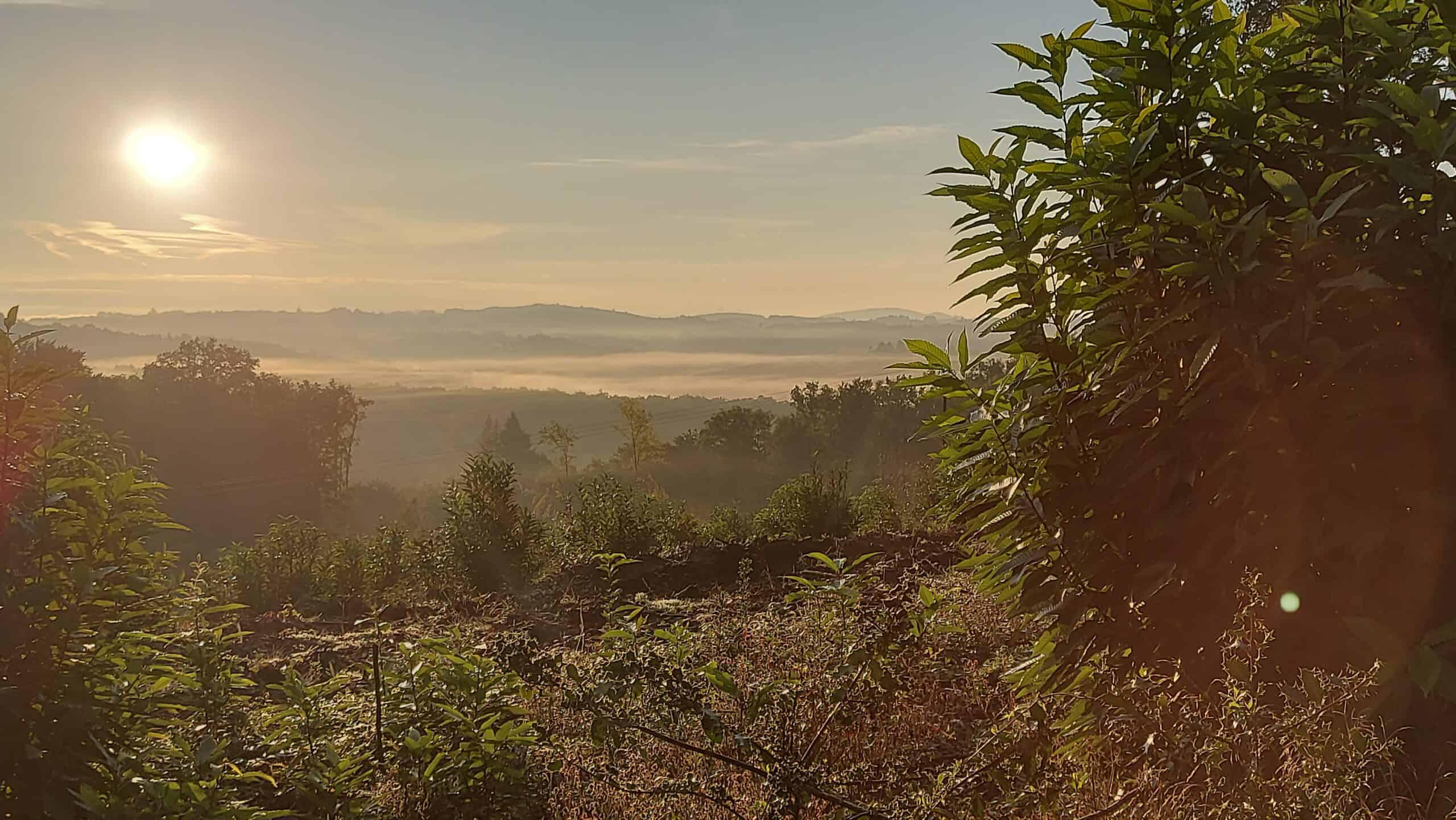 Morgenstimmung mit Nebel über einer weiten Landschaft