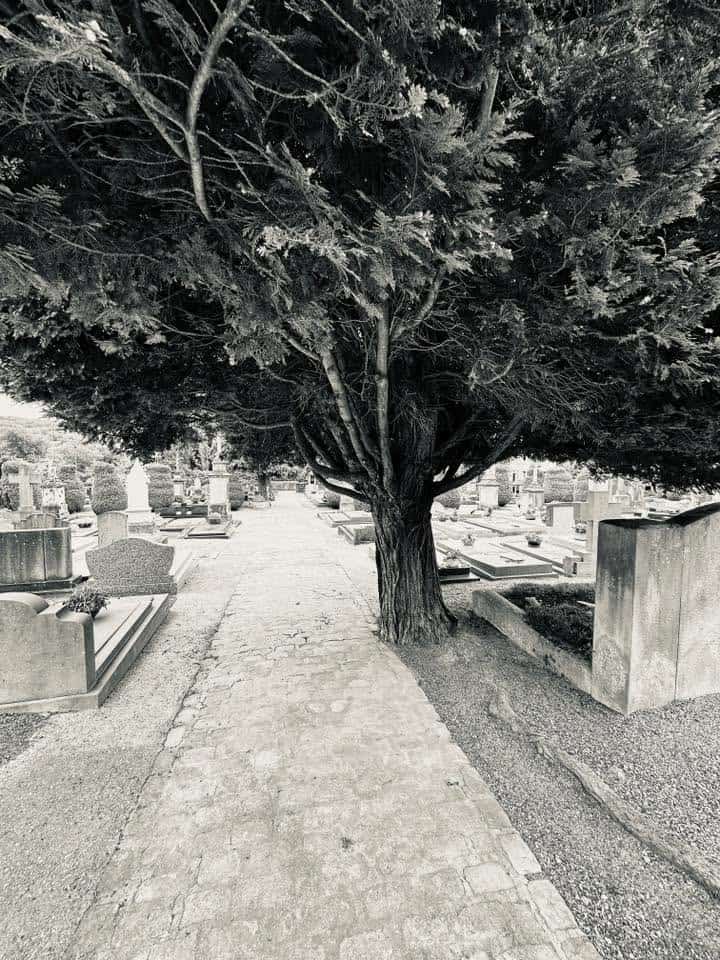 Friedhofsansicht – Grevenmacher (058) – Friedhof Grevenmacher.