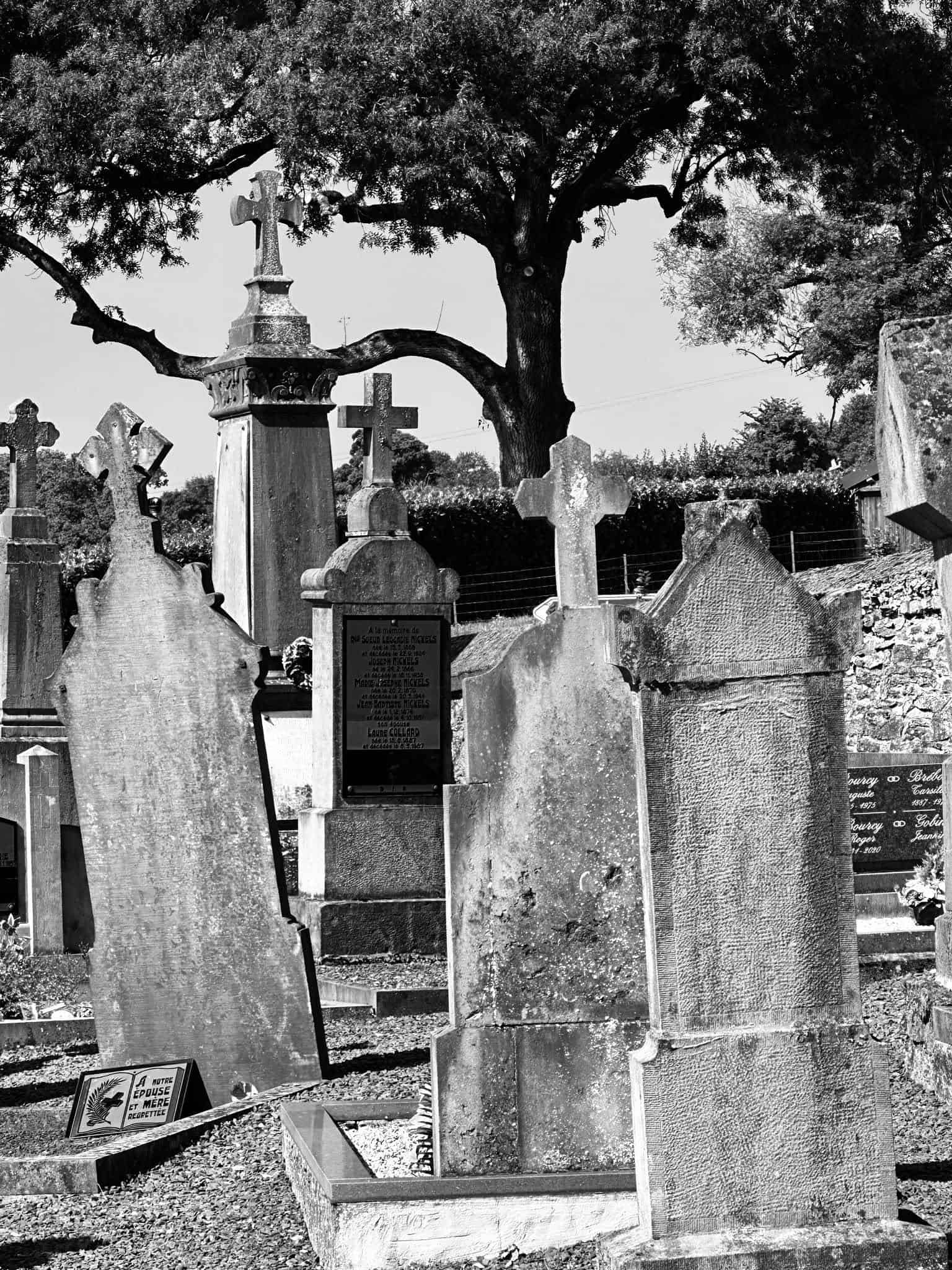 Grabmalaufnahme – Longchamps (008) – Friedhof Longchamps.