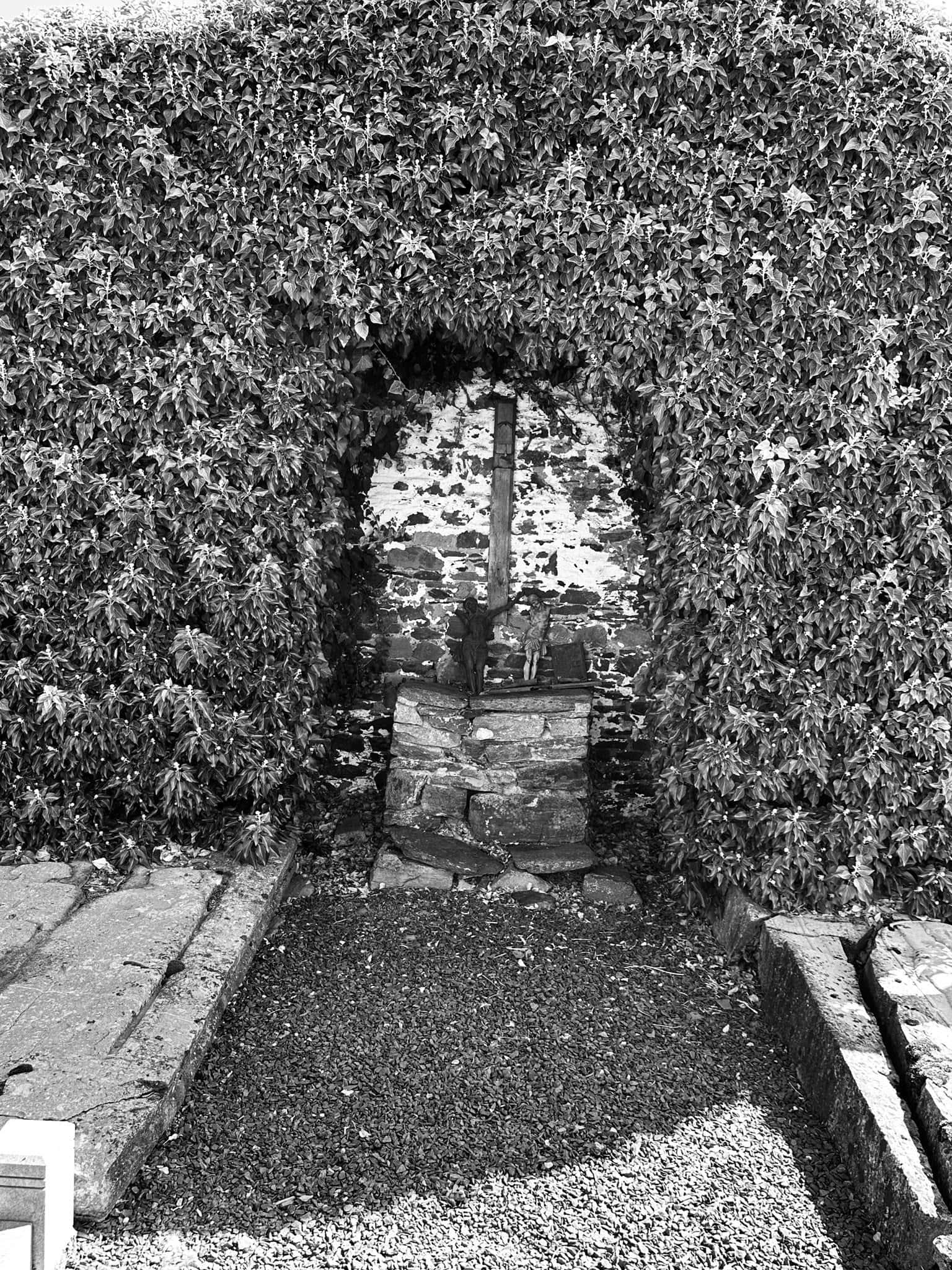 Friedhofsansicht – Longchamps (016) – Friedhof Longchamps.