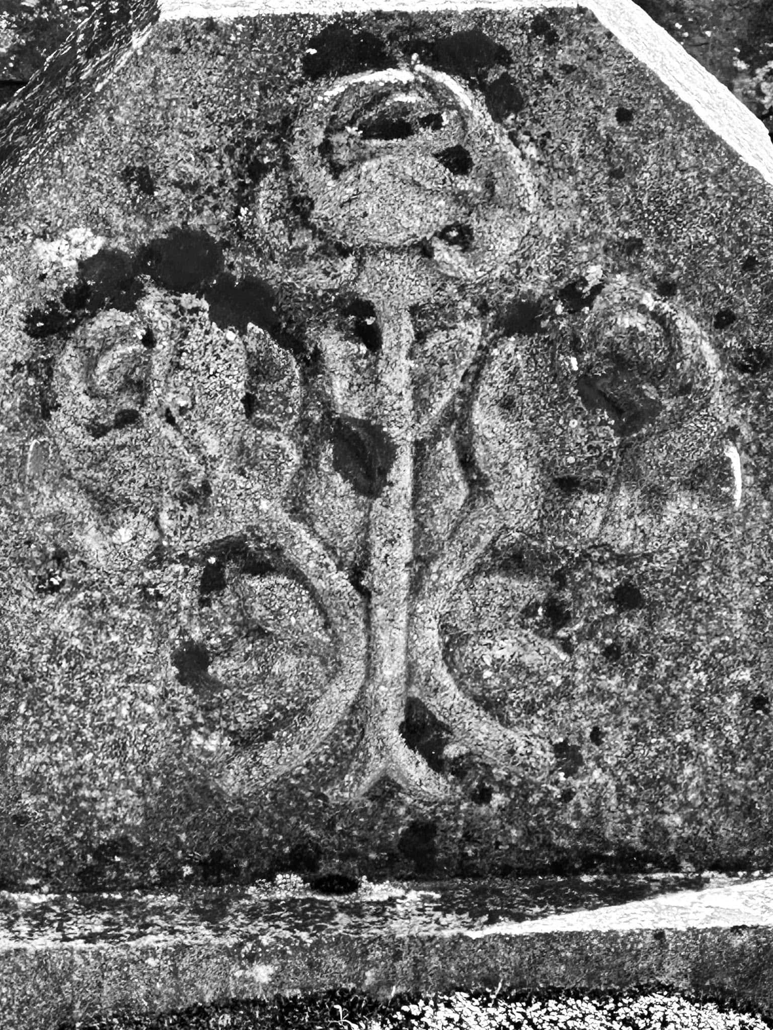 Grabmalaufnahme – Longchamps (022) – Friedhof Longchamps.