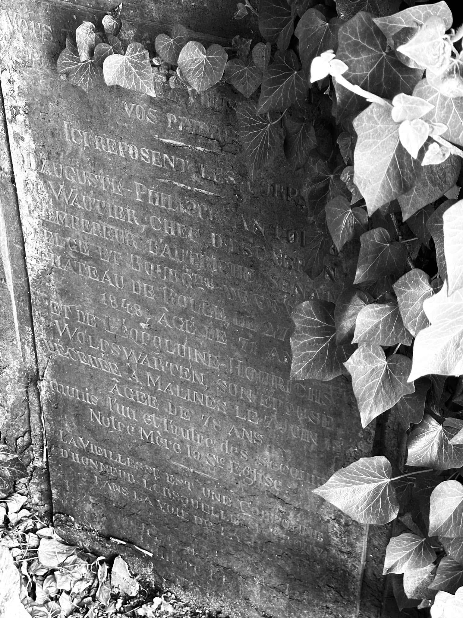 Grabmalaufnahme – Longchamps (025) – Friedhof Longchamps.