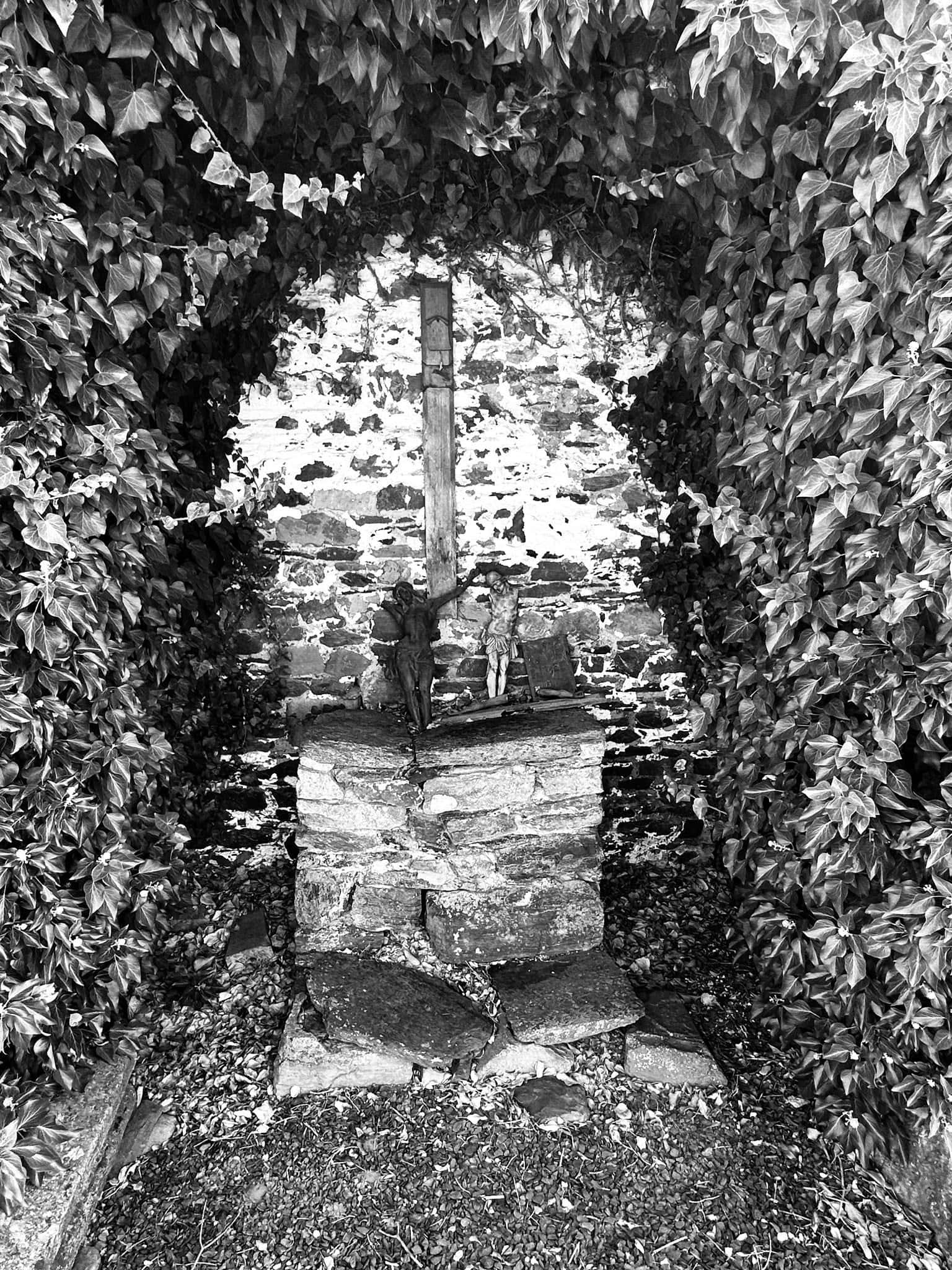 Friedhofsansicht – Longchamps (034) – Friedhof Longchamps.