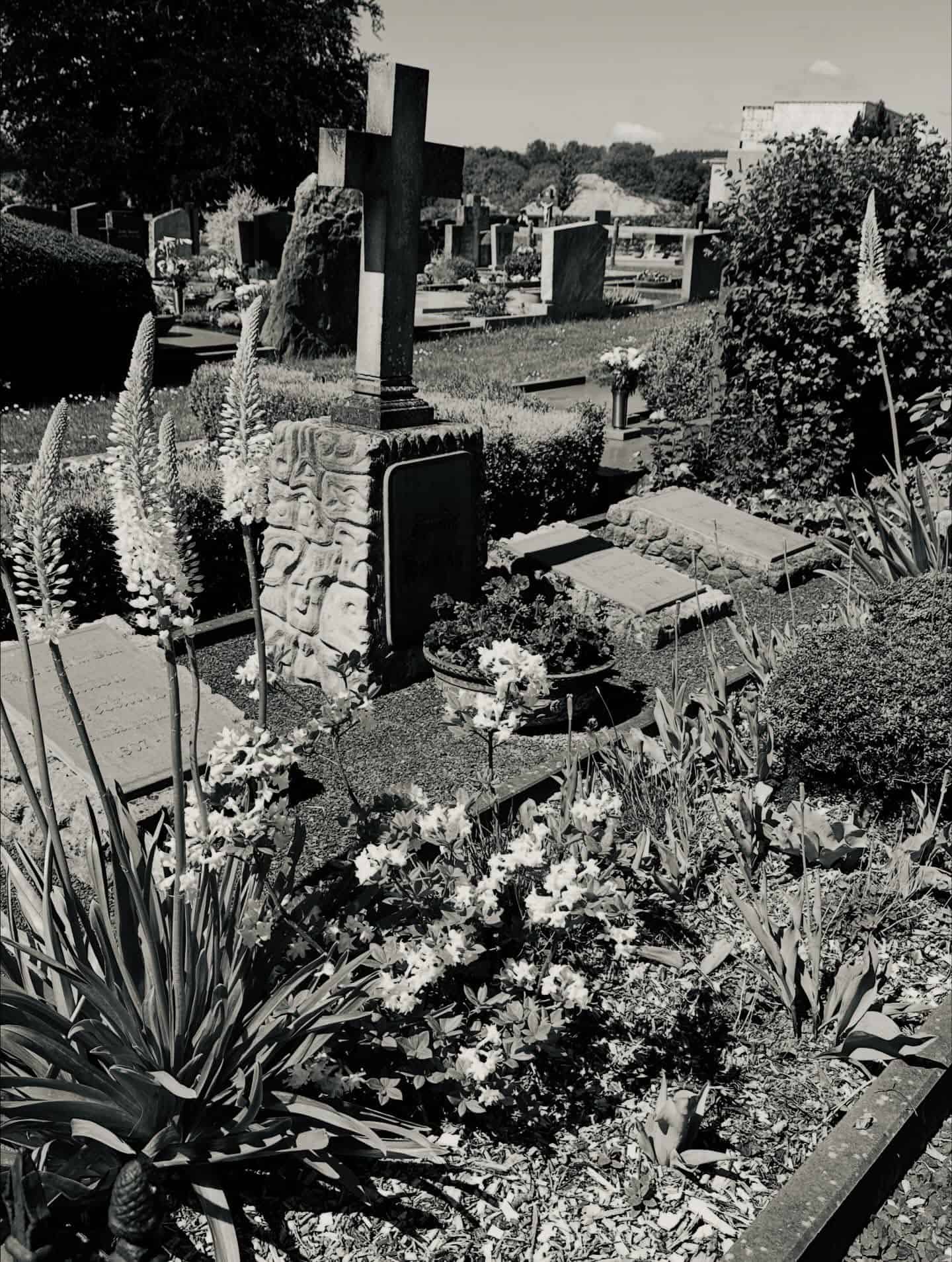 Friedhofsansicht – Sankt Vith (010) – Friedhof Sankt Vith.