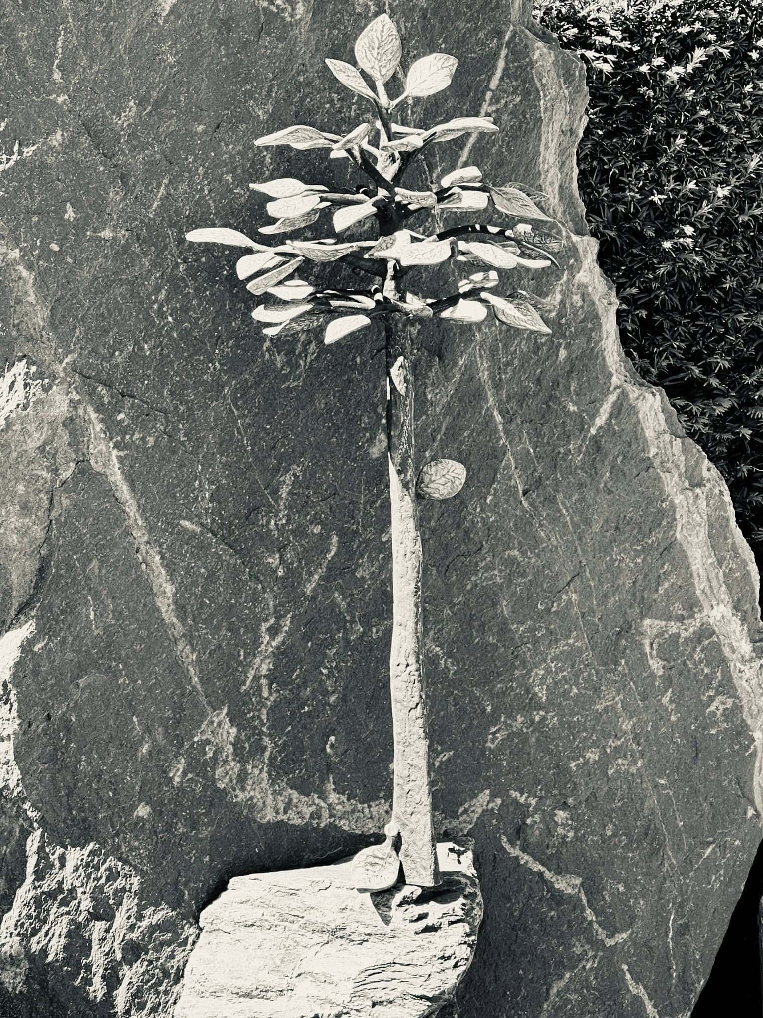 Grabmalaufnahme – Sankt Vith (025) – Friedhof Sankt Vith.