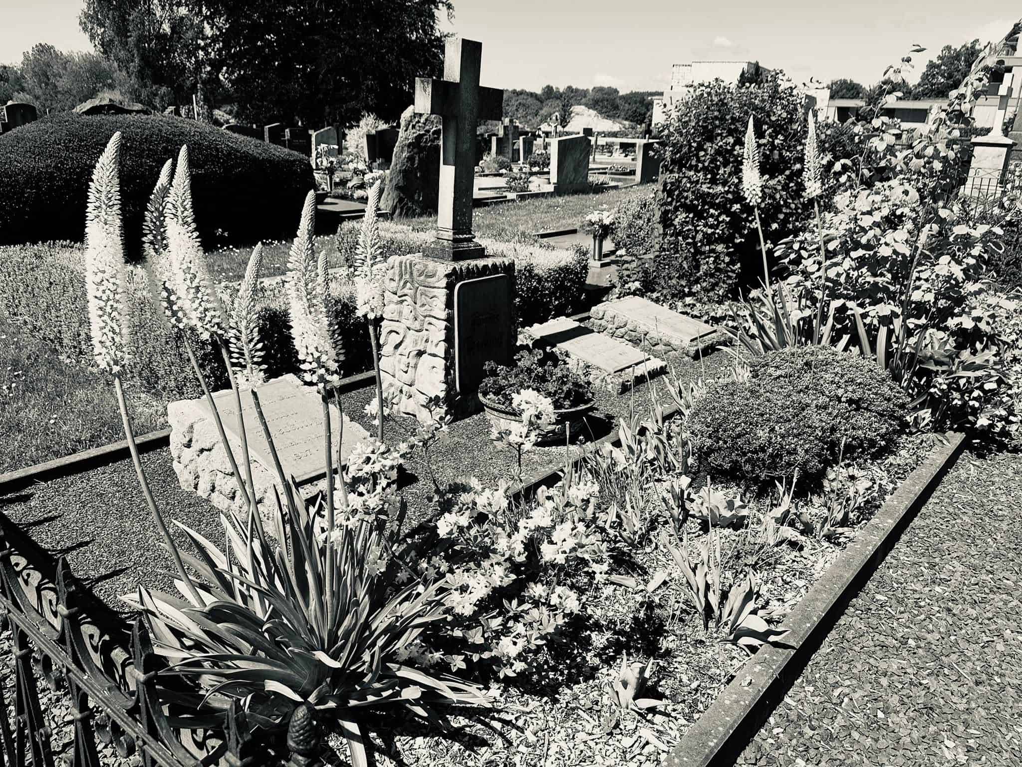 Friedhofsansicht – Sankt Vith (052) – Friedhof Sankt Vith.