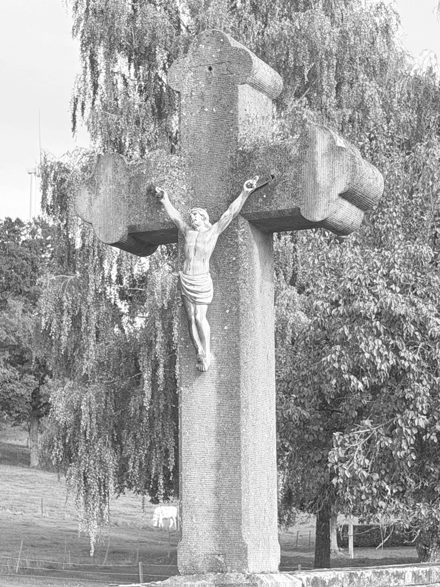 Christusdarstellung – Ermsdorf (018) – Friedhof Ermsdorf. Darstellung: Christus.