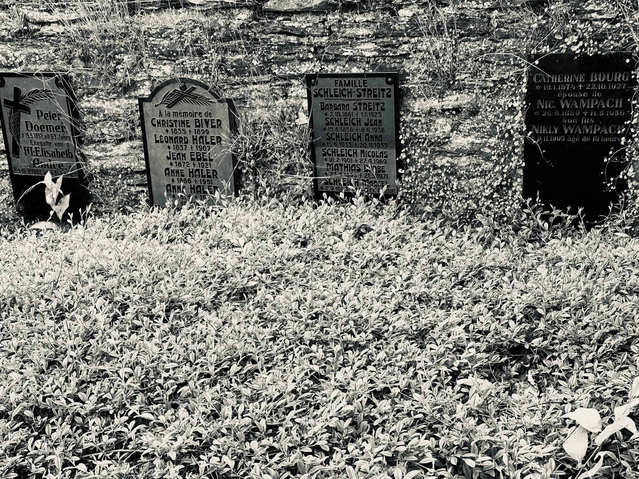 Friedhofsansicht – Troine (007) – Alter Friedhof Troine.