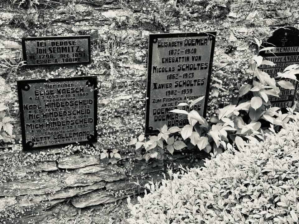 Friedhofsansicht – Troine (014) – Alter Friedhof Troine.