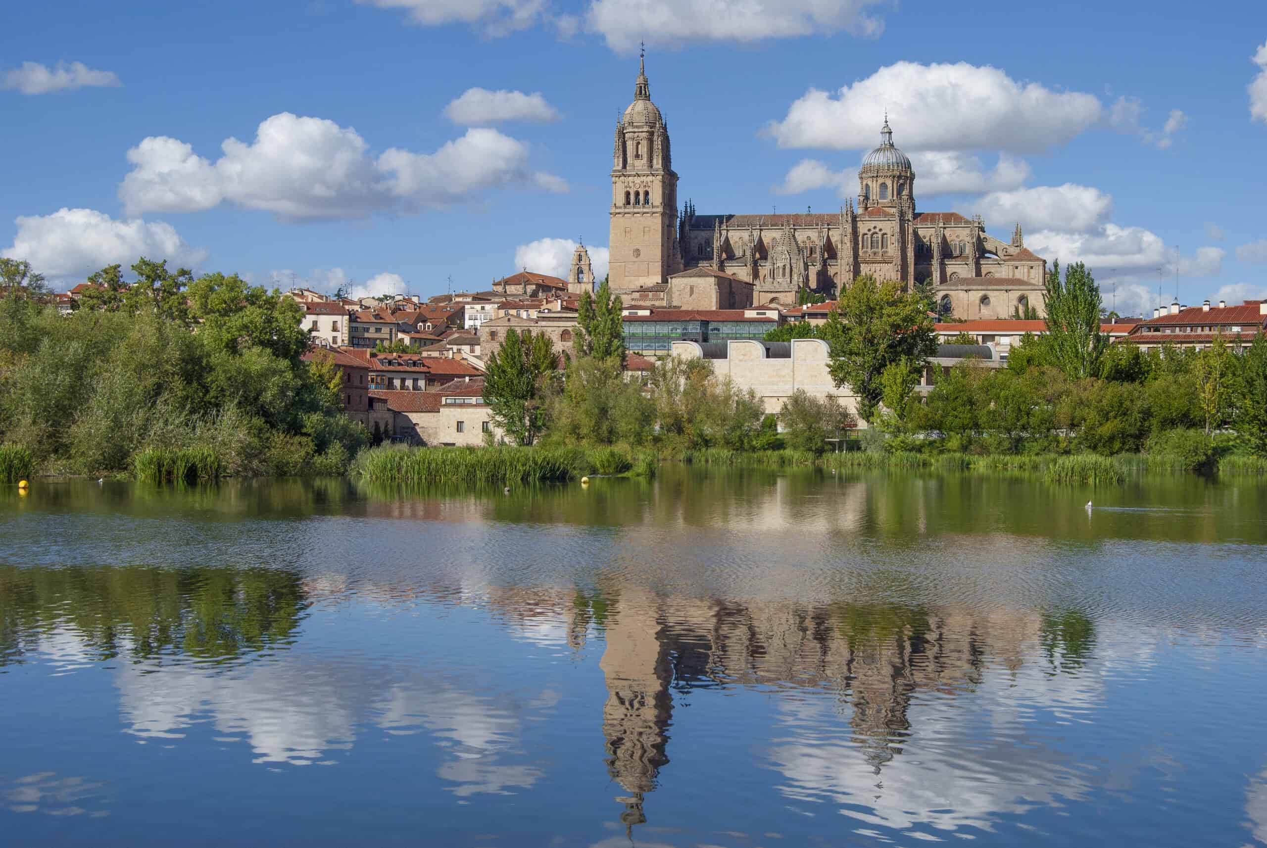Spiegelung der Kathedralen von Salamanca in einer Wasserfläche