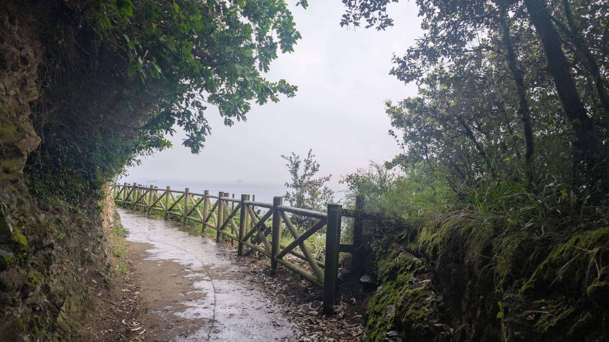 Schmaler Küstenpfad unter Bäumen, mit Holzgeländer und Blick aufs Meer