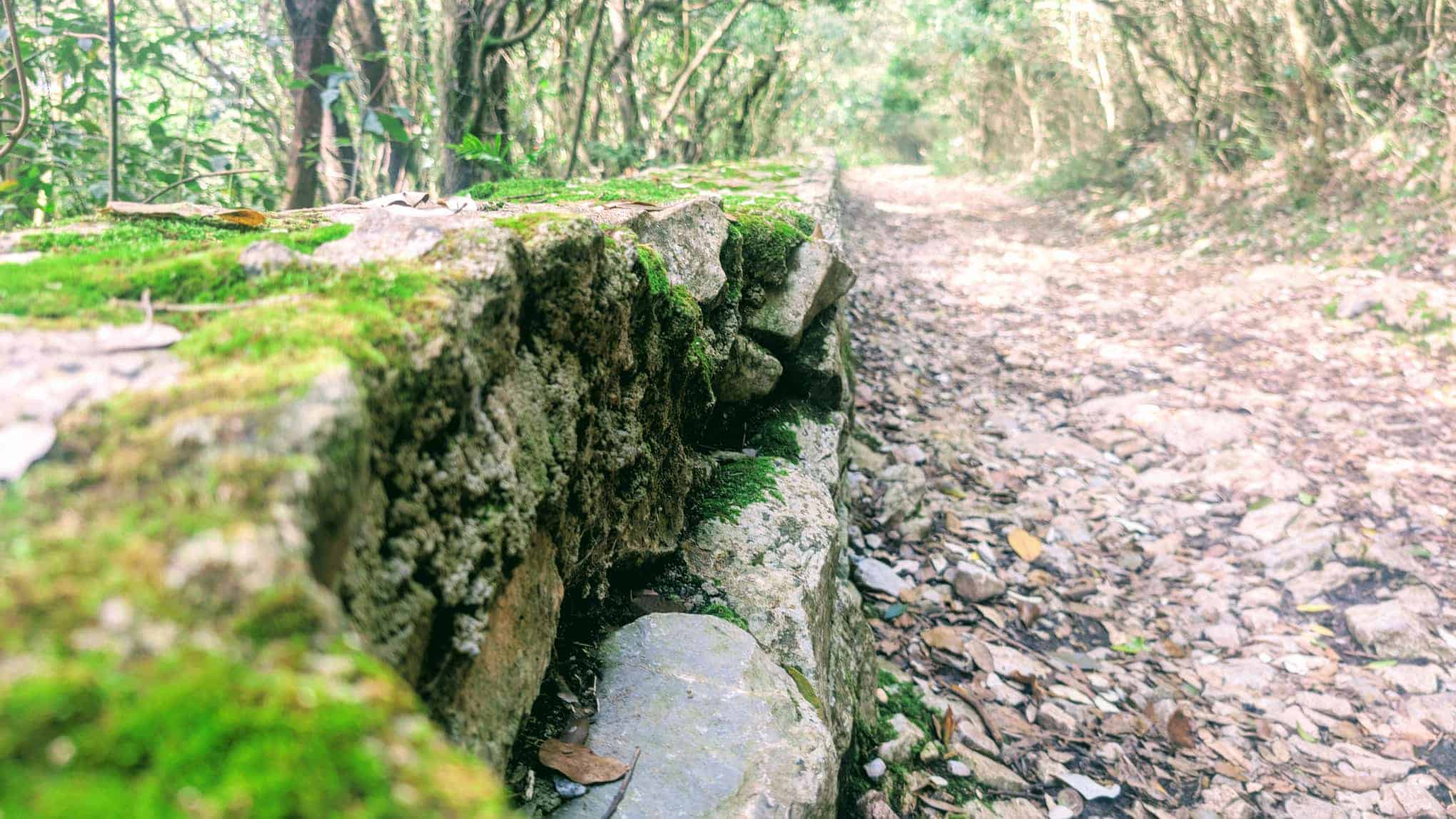 Schmaler Weg durch den Wald entlang einer moosbewachsenen Steinmauer