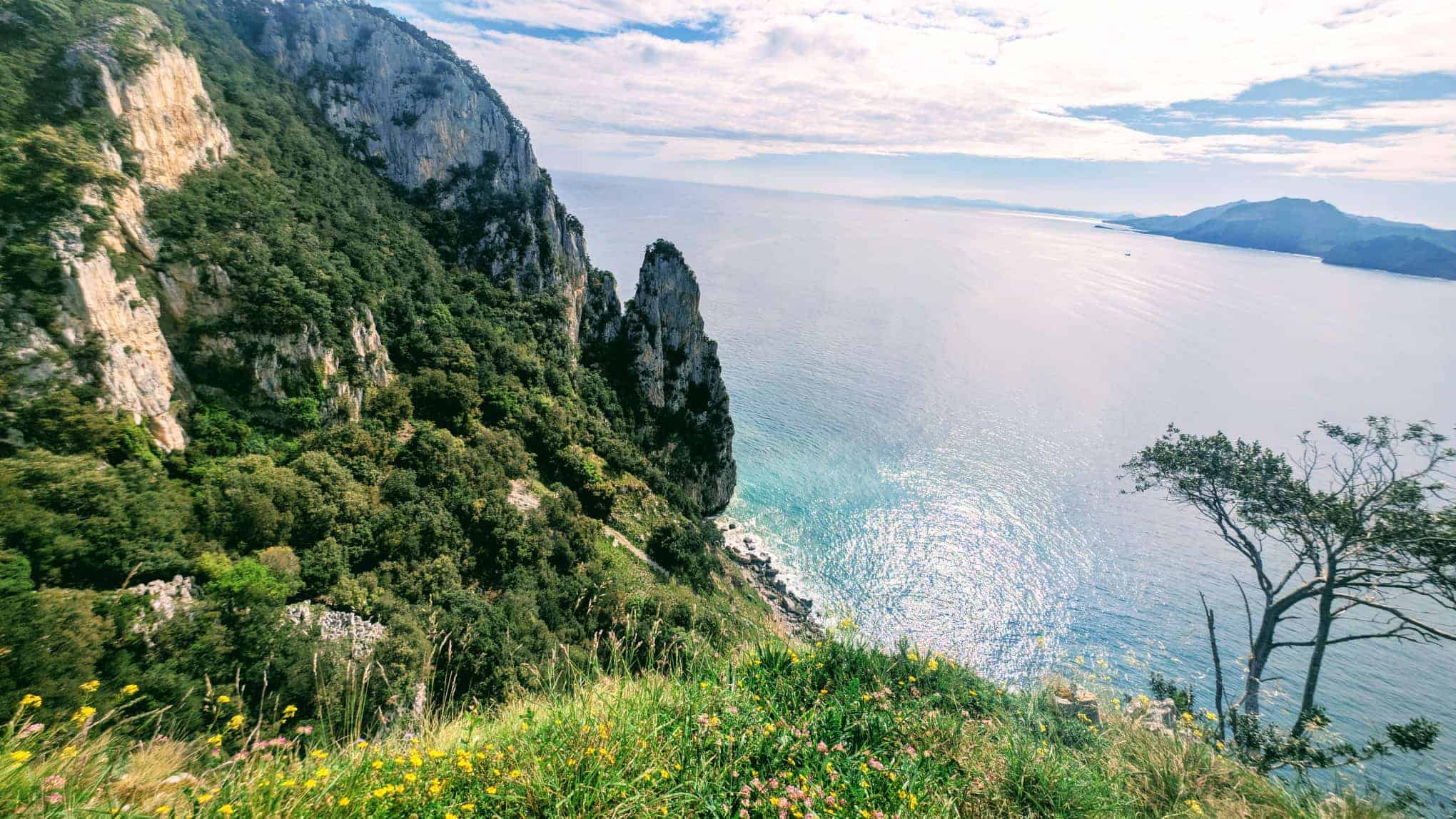 Weite Aussicht über die grüne Küstenlandschaft auf das Meer